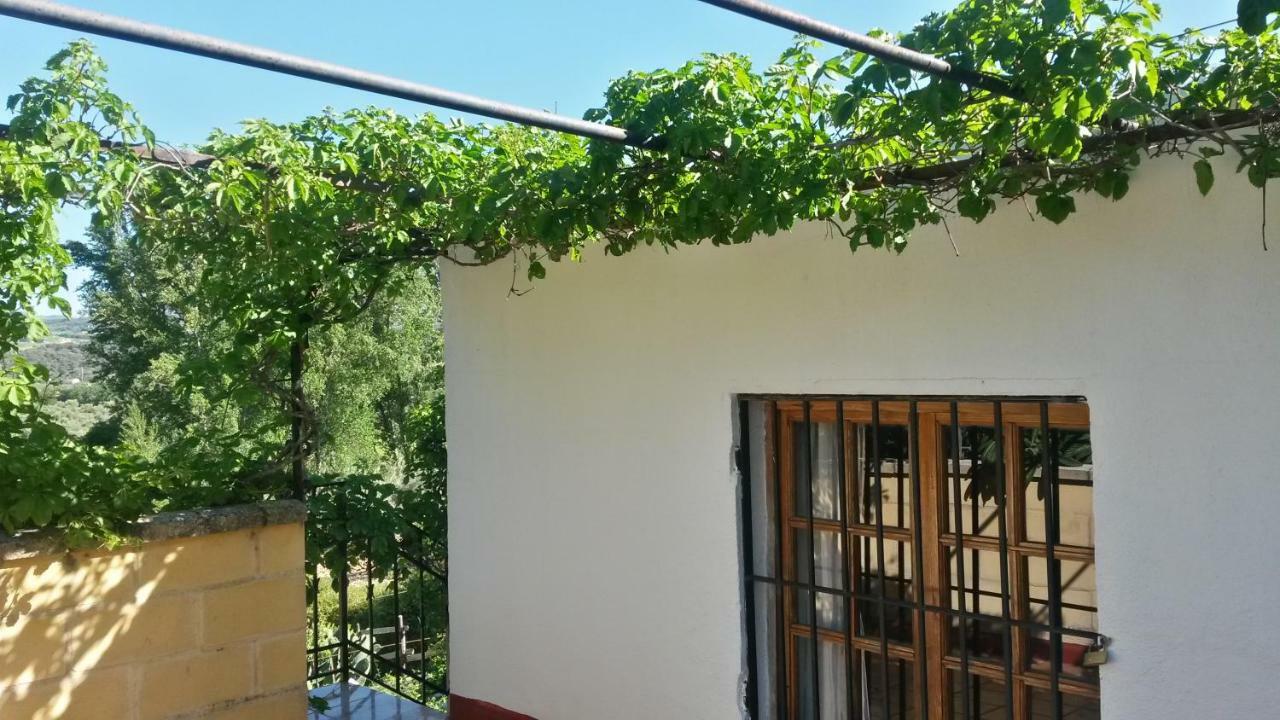 Apartamento Rural Cristi 론다 외부 사진